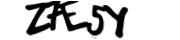 captcha delivery section small