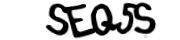 captcha delivery section small