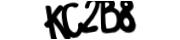 captcha delivery section small